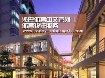 案例展示一