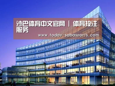 案例展示五