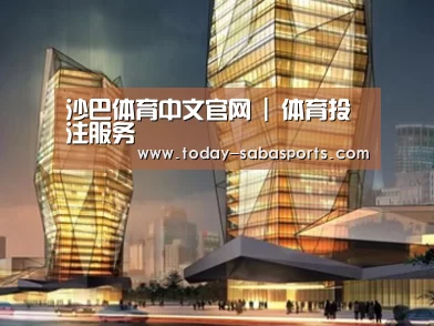 案例展示三
