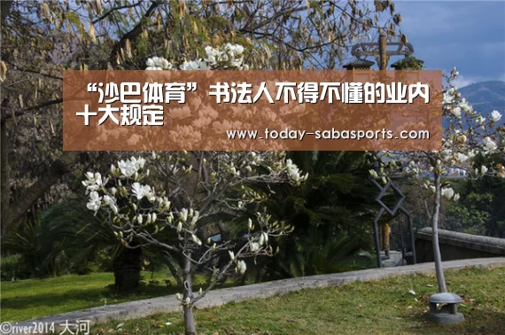 沙巴体育平台